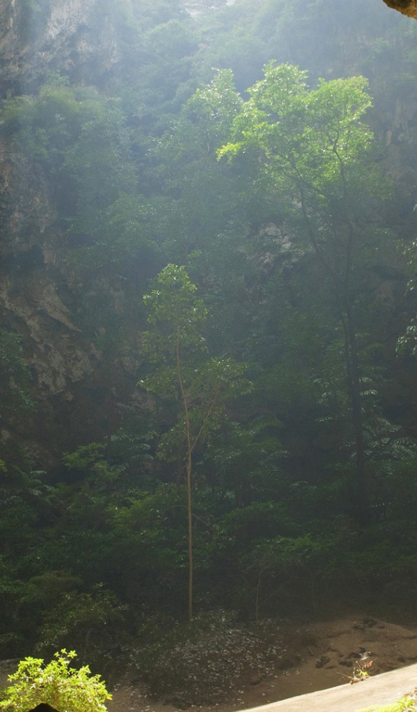 Национальный парк Таиланда