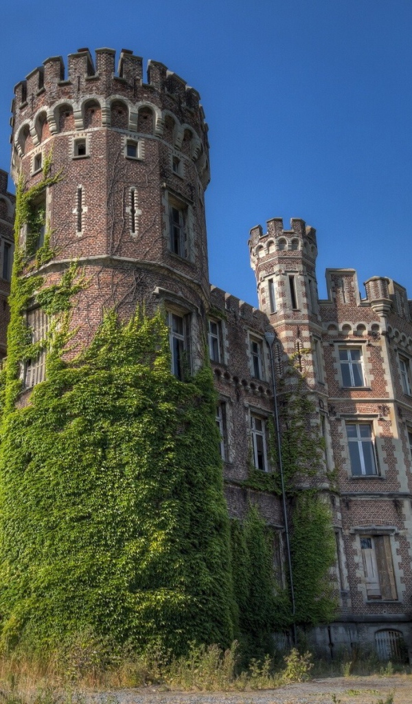 Старинная крепость заросла травой