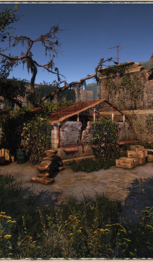 Развалины старого дома