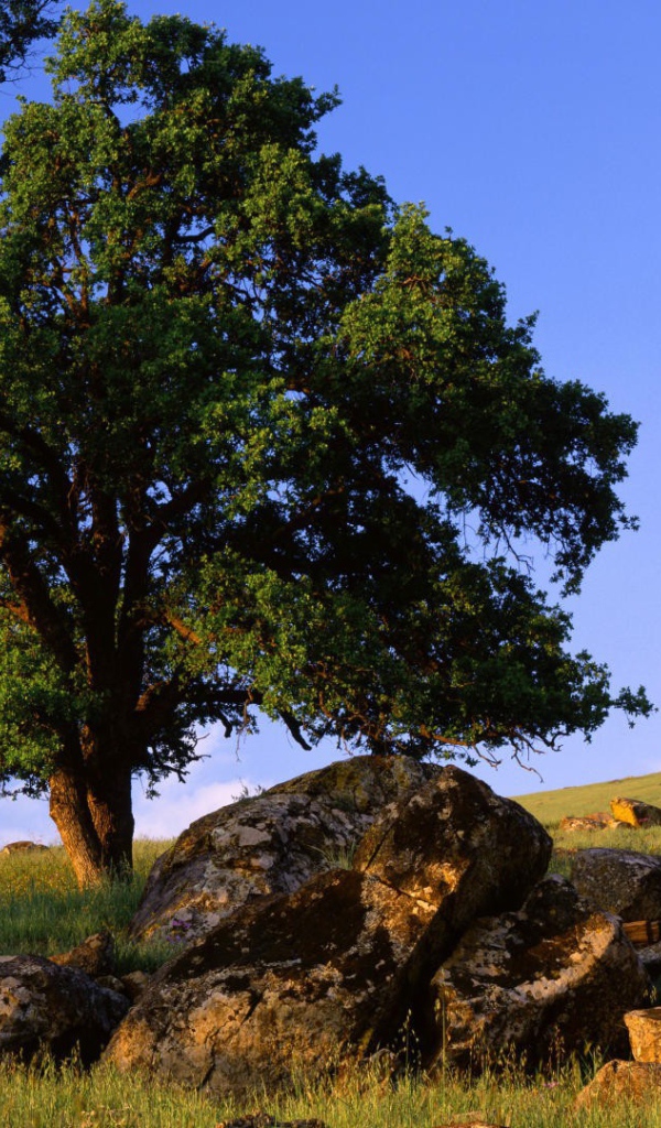 Природа штата Невада