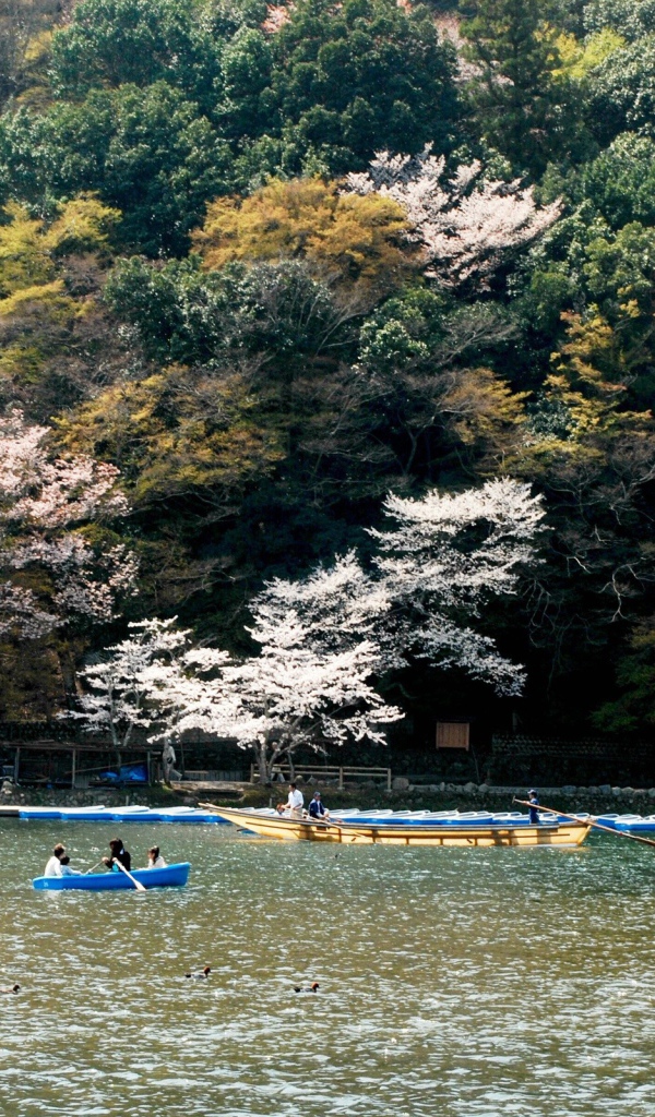 Катание на лодках