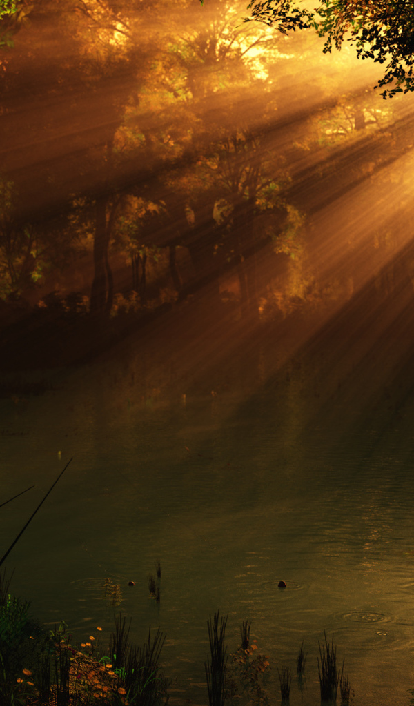 Рыбаки в солнечных лучах