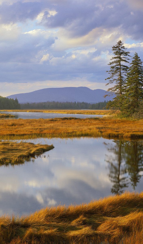Озеро заросшее травой