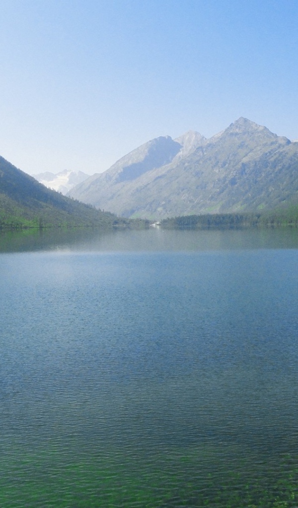 Горный пейзаж с озером и лесом