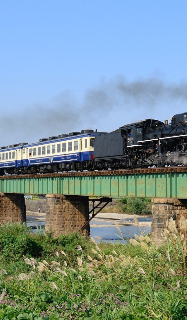 Паровоз идет по мосту