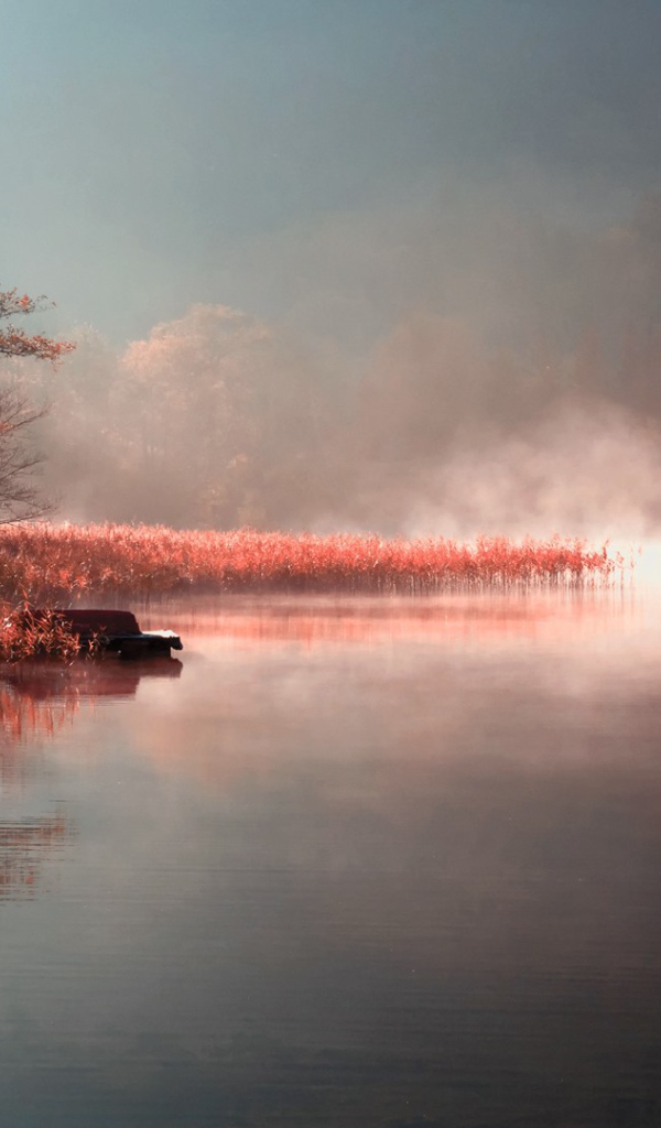 Утренний туман над озером