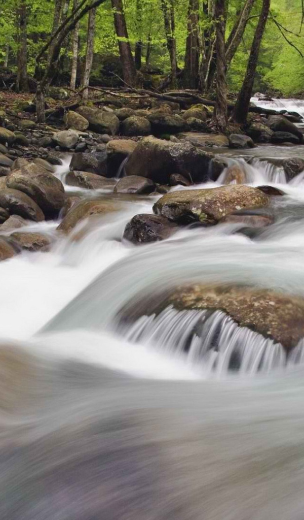 Национальный парк Теннессее