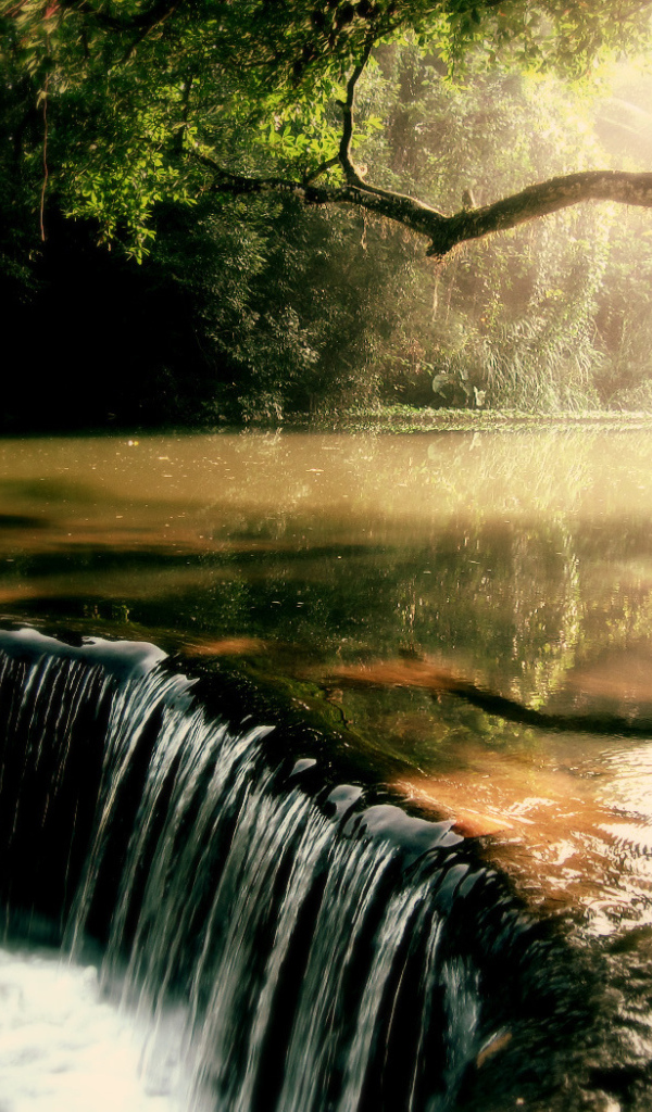 Заросшая река с водопадом