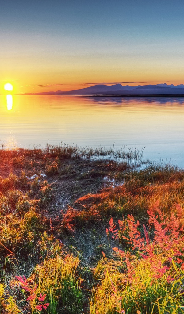 Стая птиц над озером