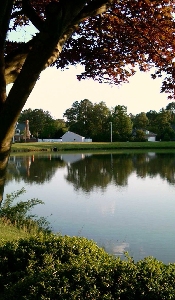 Тихий пруд в Германии