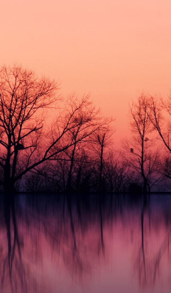 Весенний рассвет на озере