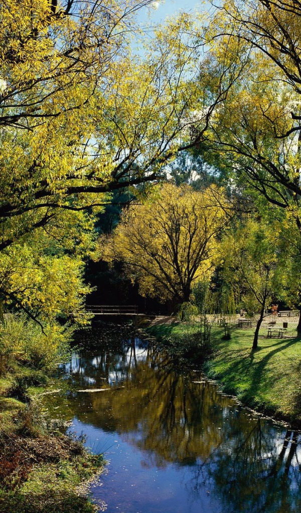 Австралийский пейзаж с рекой