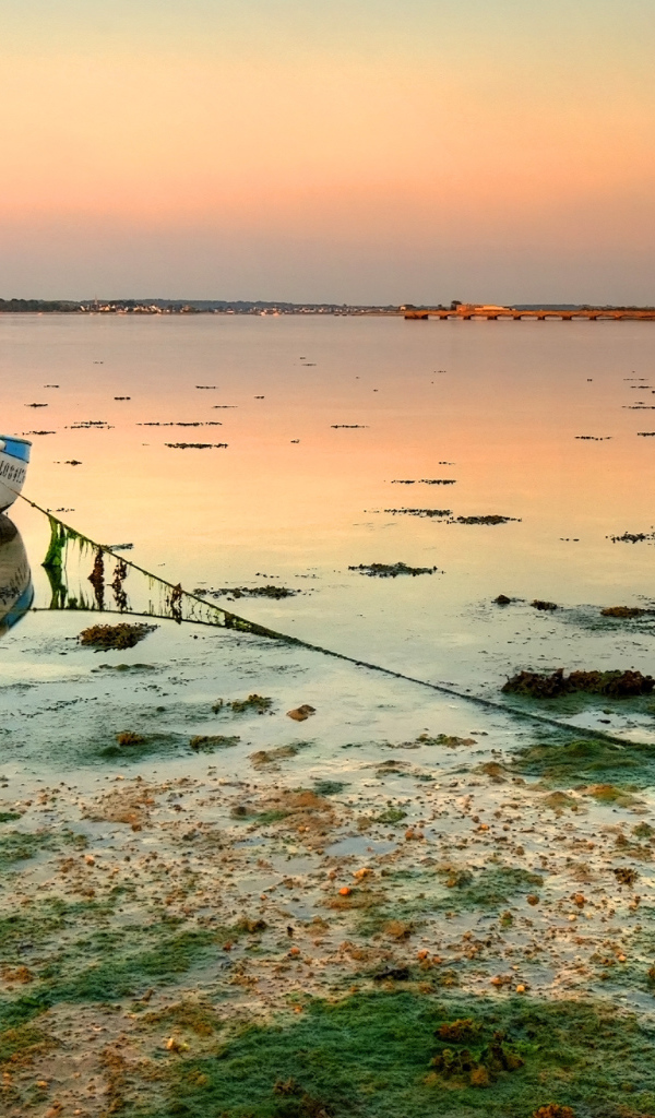 Лодка у озера