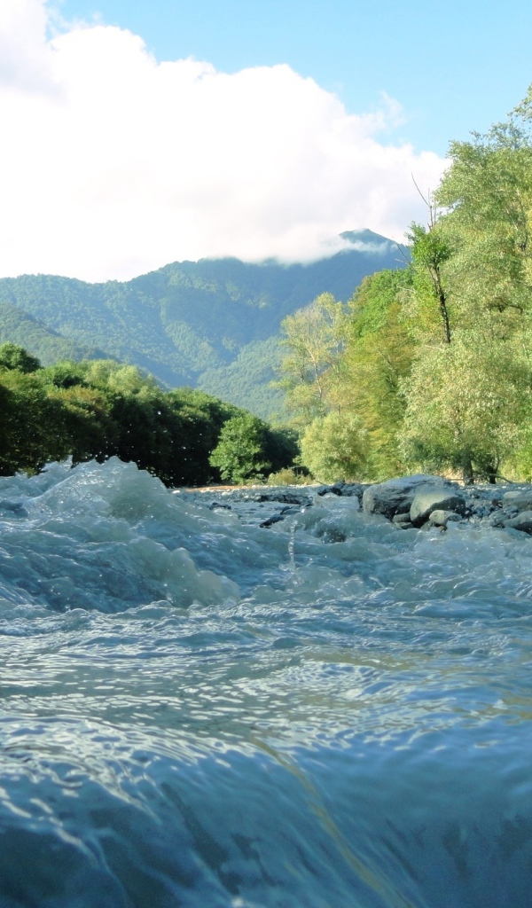Бурлящие потоки горной реки