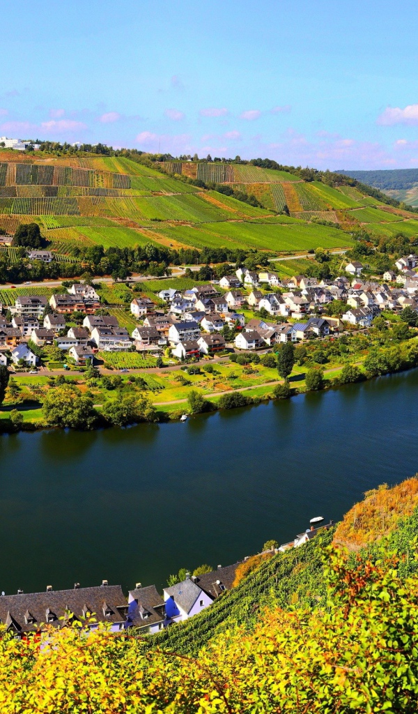 Город у реки