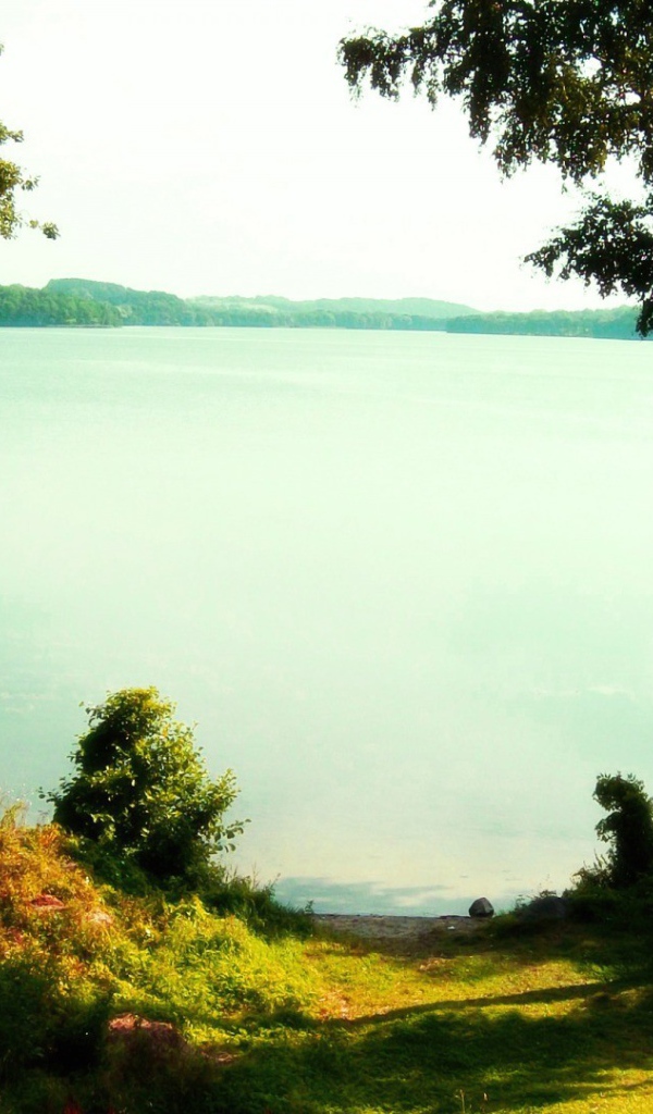 Тропинка ведет к озеру