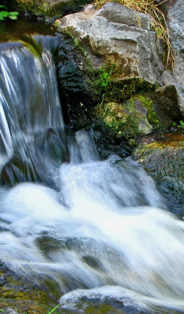 Небольшой горный ручей