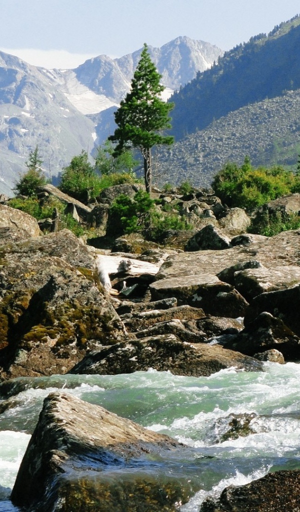 Бурная горная река