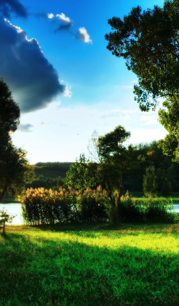 Рыбалка на восходе