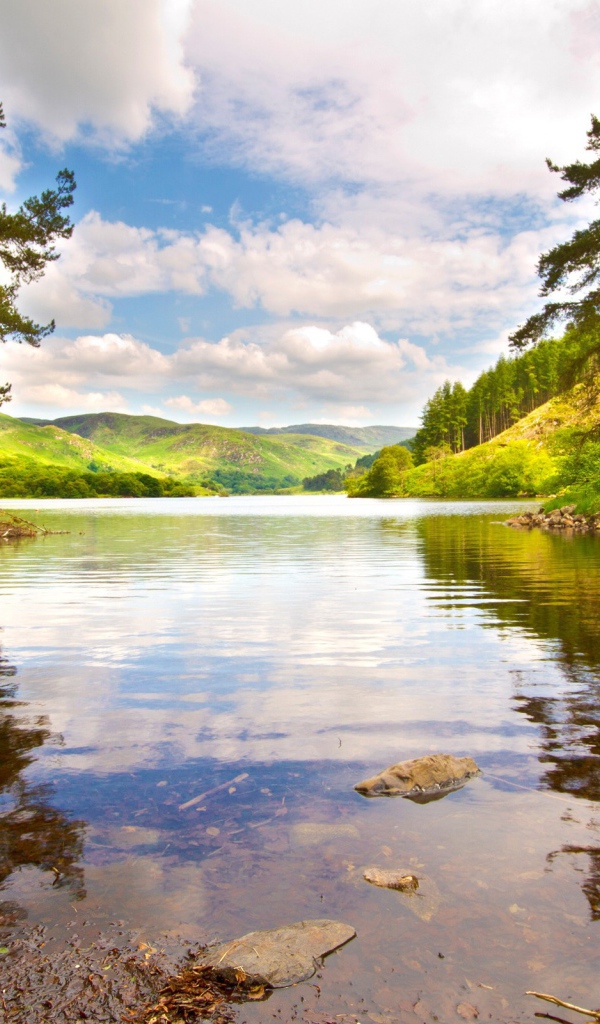 Лесное озеро среди холмов