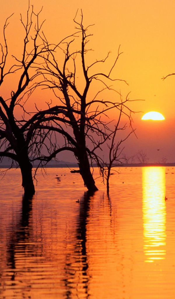 Весеннее половодье в Калифорнии