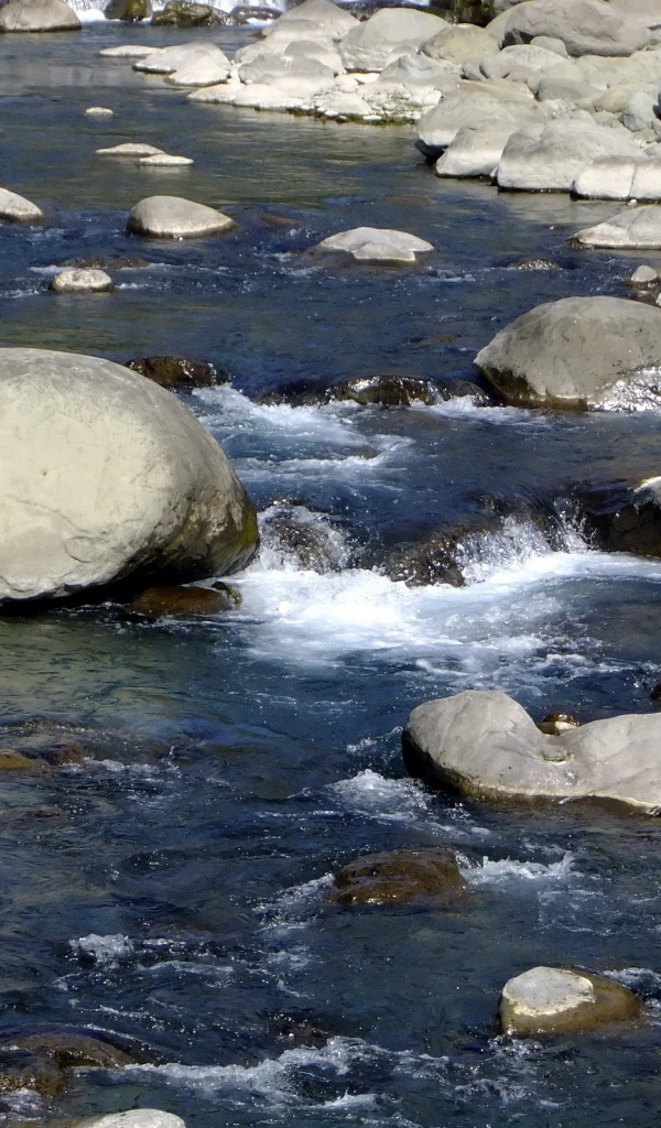 Каменистая речка