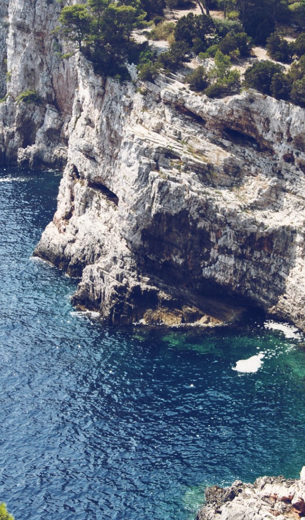 Обрывистый белый берег