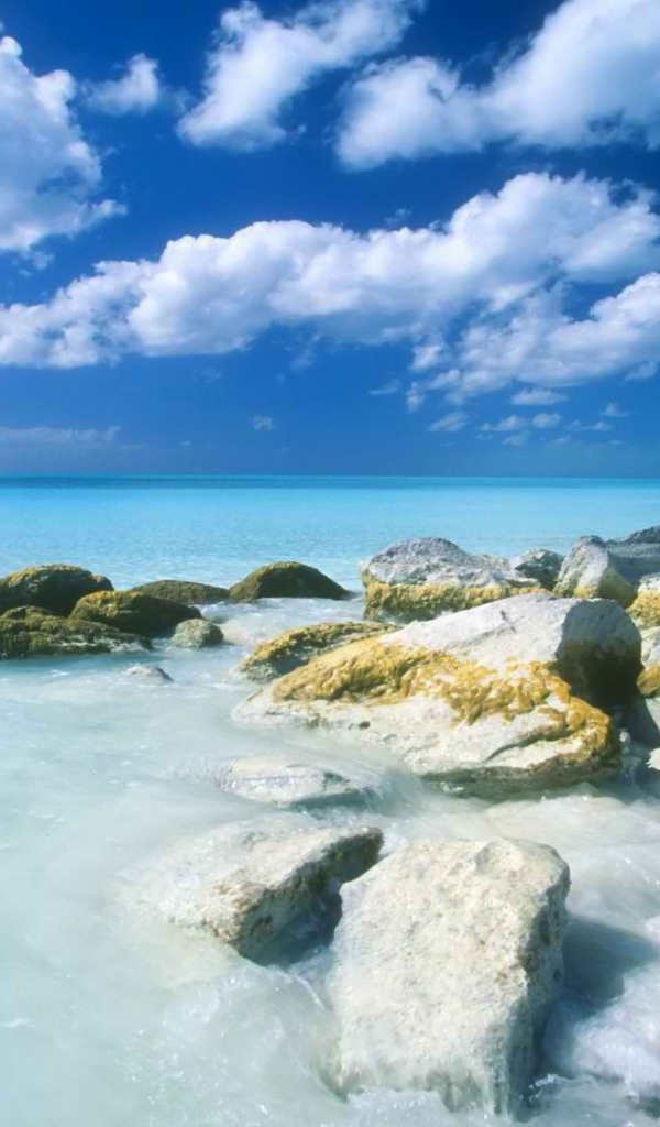 Каменистый берег и синее море