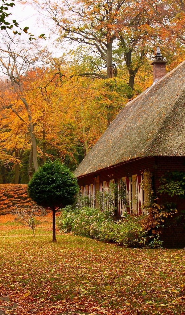 Little home in the autumns woods
