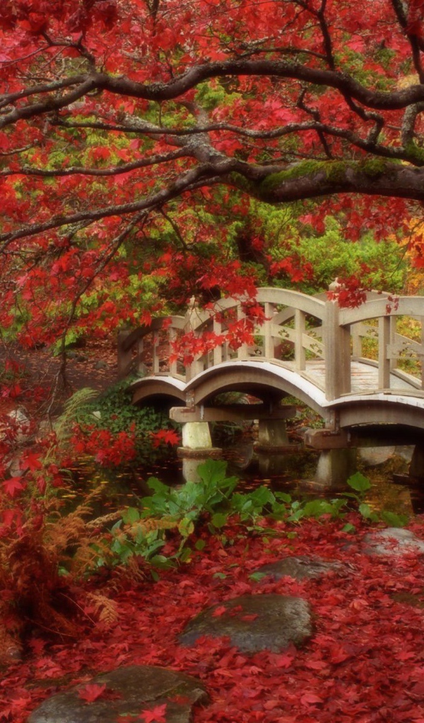 Красная осень в парке
