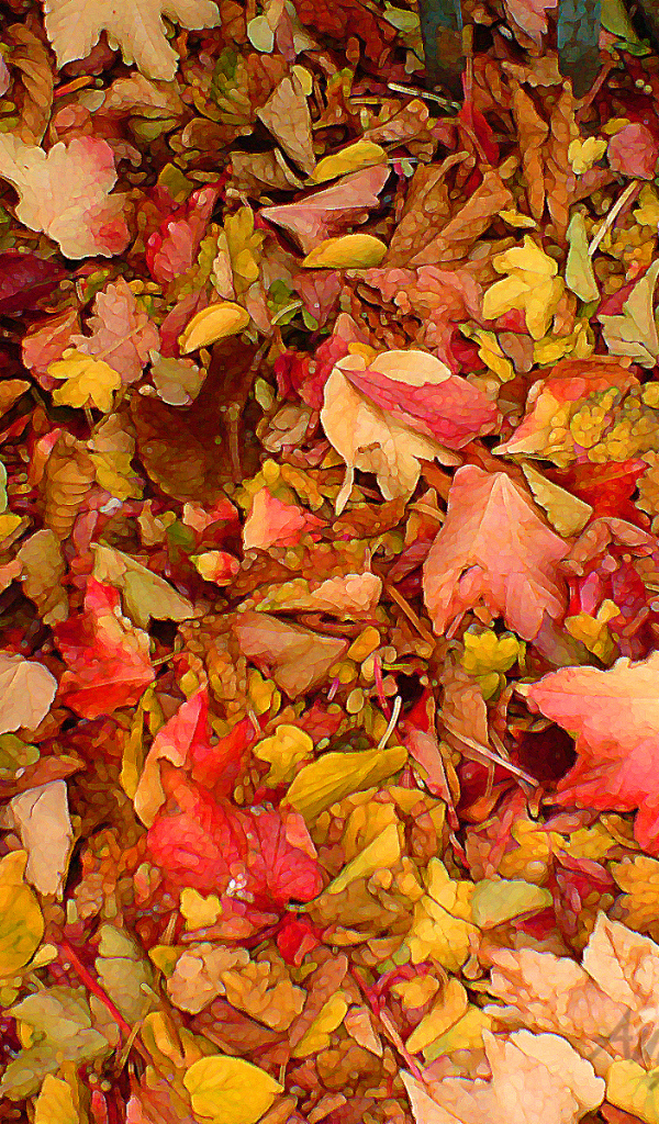 Картина из осенних листьев