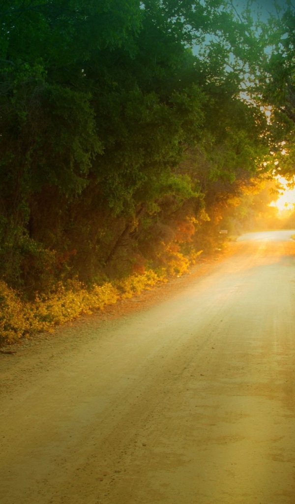 Солнце в дорожном просвете