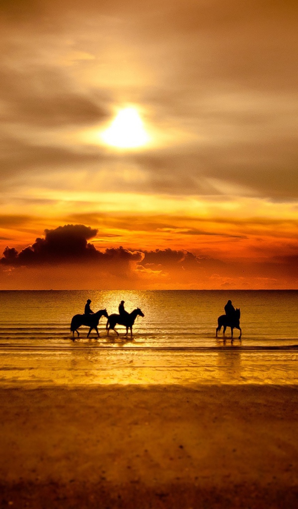 Всадники на лошадях на пляже