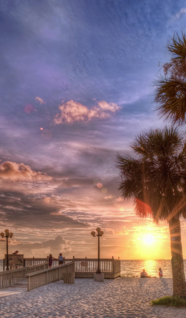 Закат на пляже с пальмами