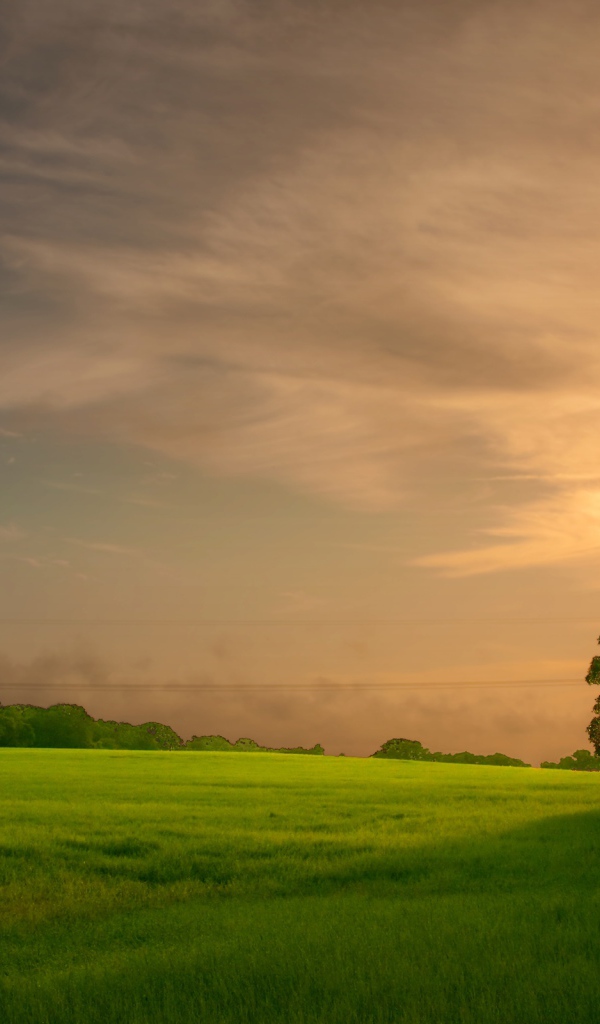 Закат на зеленом поле