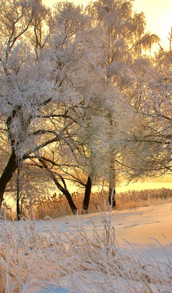 Зимний закат в Румынии