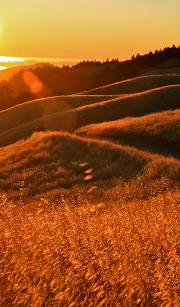 Закат в Калифорнии