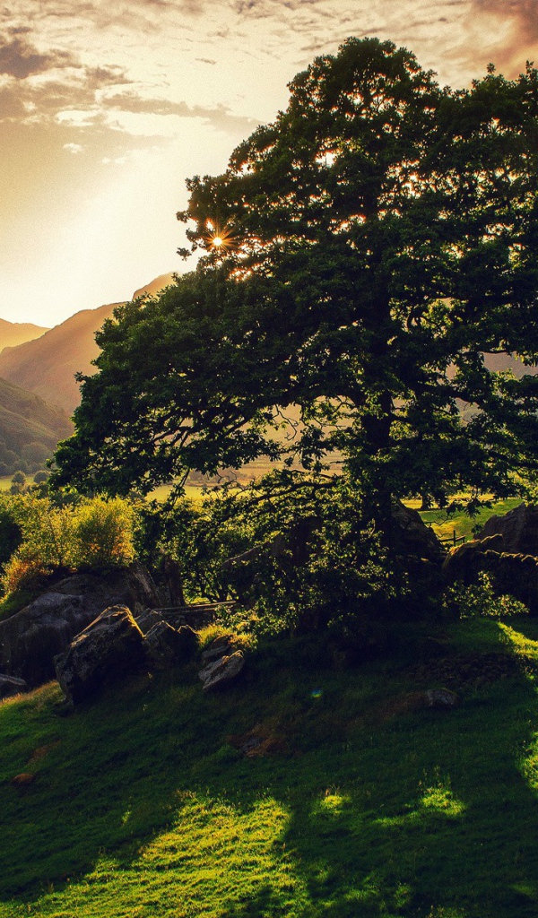 Закат в долине