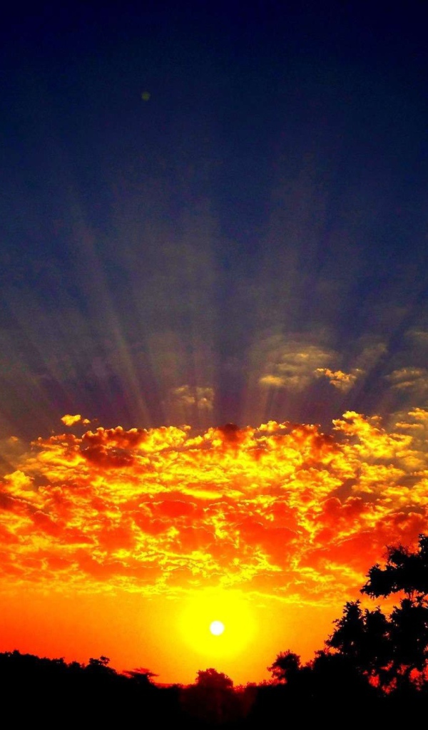 Лучи солнца