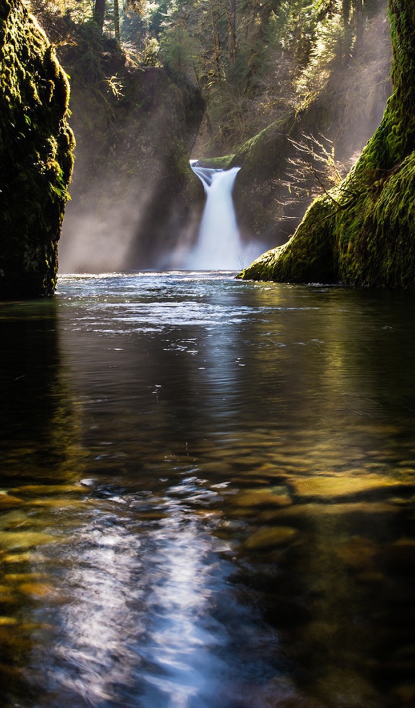 Водопад во мху