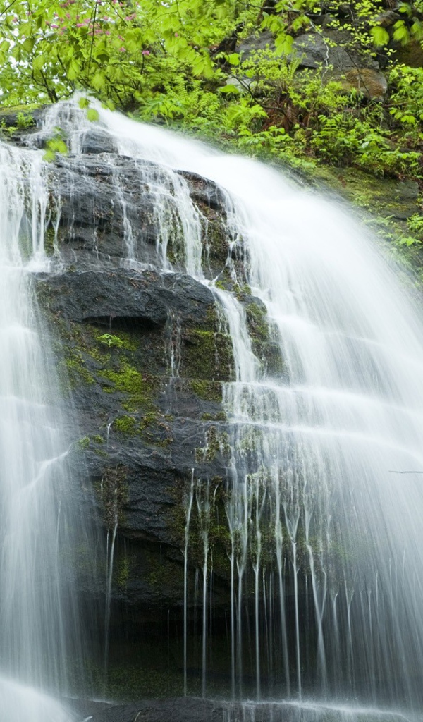 Каскадный водопад в Японии