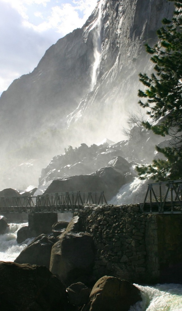 Одинокая сосна у водопада