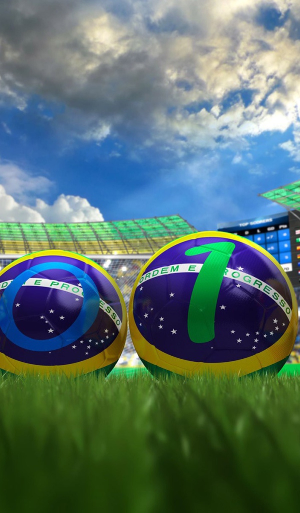 2014 на мячах