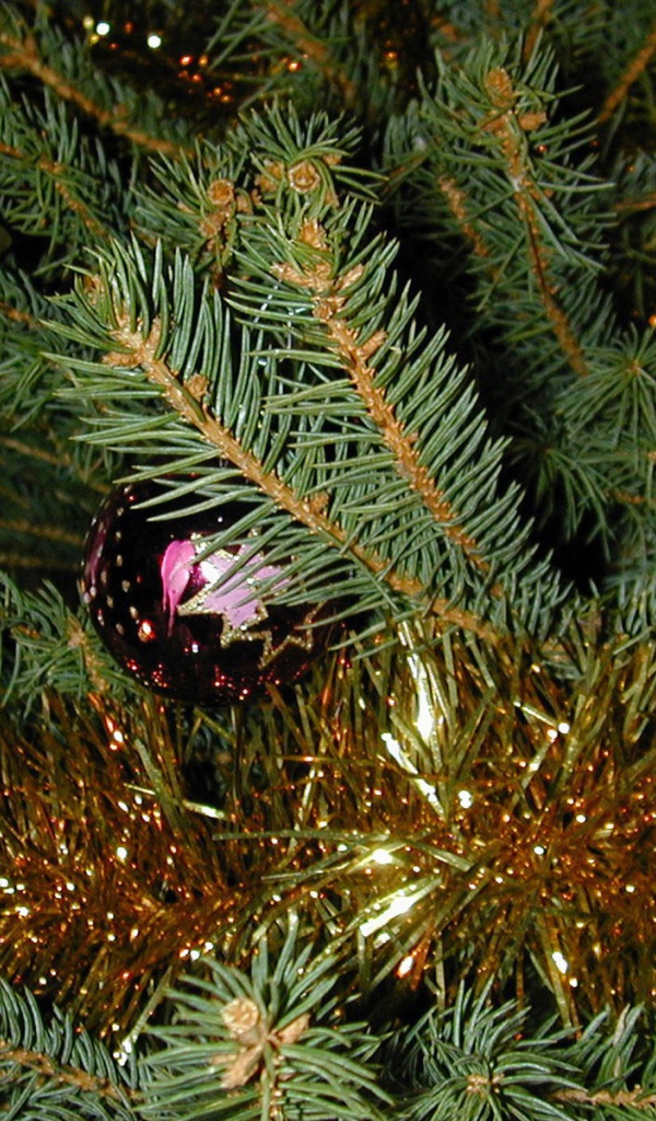 Новогодняя елка и горящая свеча