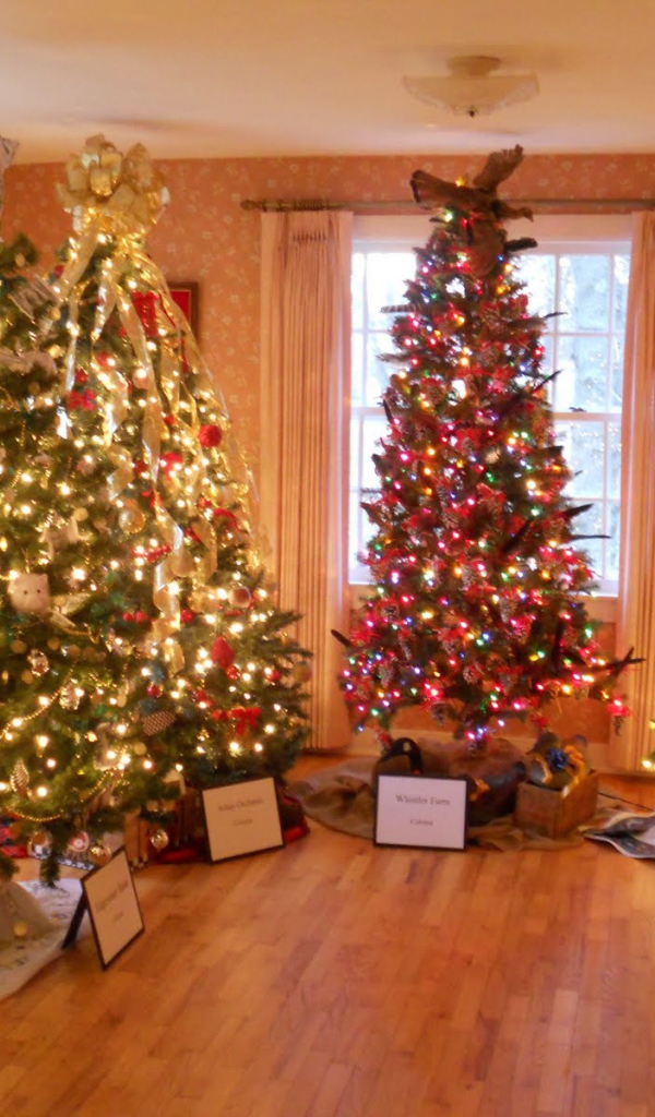 Много новогодних елок