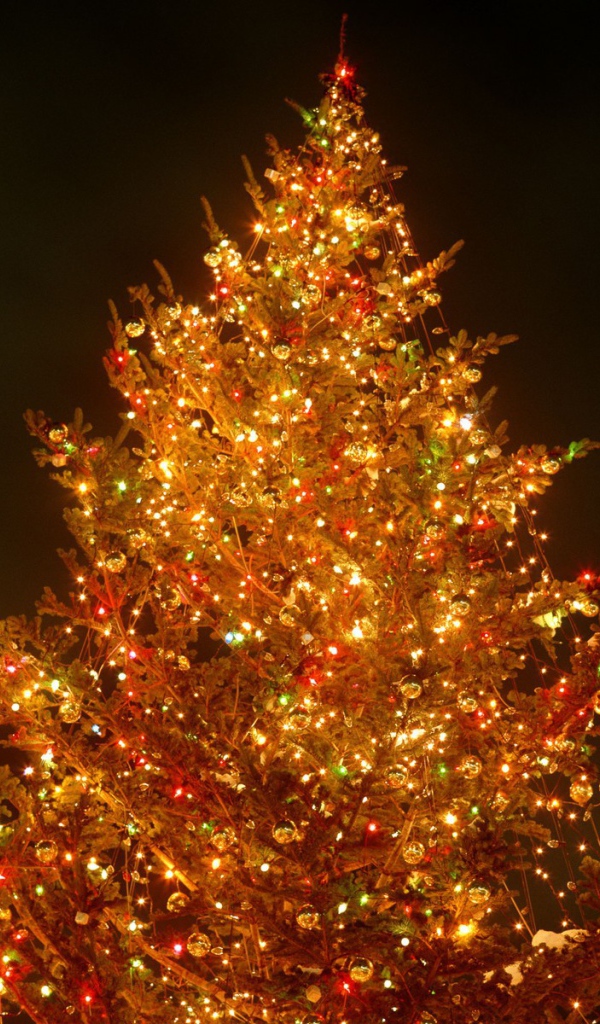 Яркая Новогодняя елка