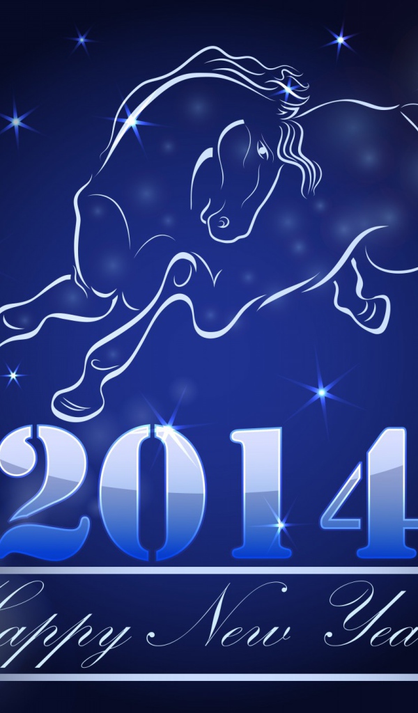 Встреча Нового 2014 Года