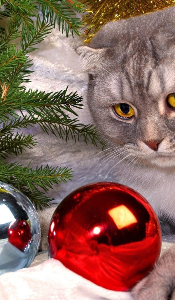 Eлочная игрушка кот