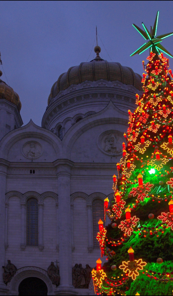 Новогодняя ёлка в царицыно 2014