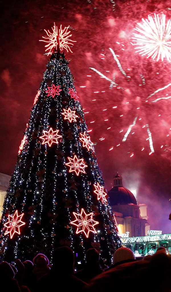 Новогодняя елка в Вильнюсе 2014